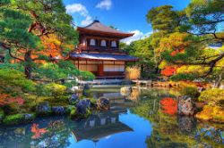 Beautiful Kyoto