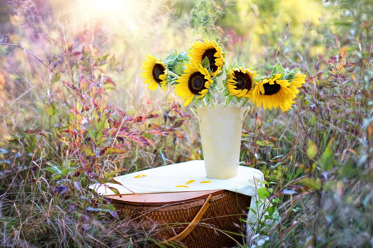Sunflower Bouquet Sunflowers in a vase on picnic basket